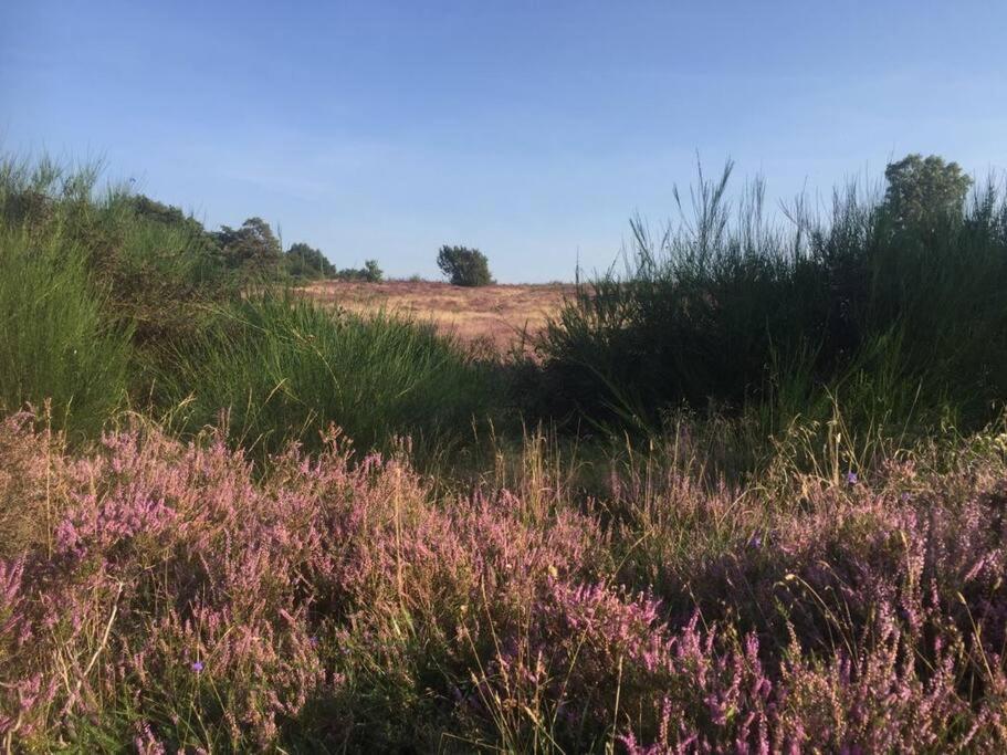 Vila Sfeervol Chalet In Drenthe Bij Het Dwingelderveld Spier Exteriér fotografie