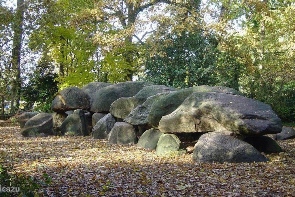 Vila Sfeervol Chalet In Drenthe Bij Het Dwingelderveld Spier Exteriér fotografie