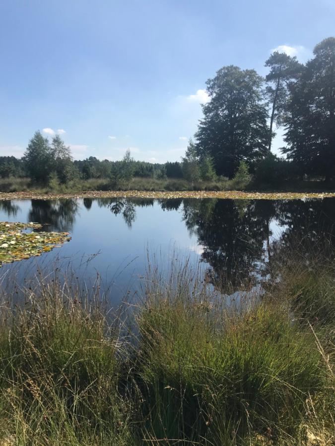 Vila Sfeervol Chalet In Drenthe Bij Het Dwingelderveld Spier Exteriér fotografie